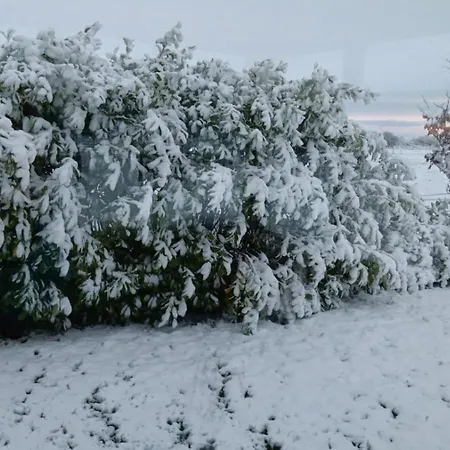 Global Guest Ireland Williamstown