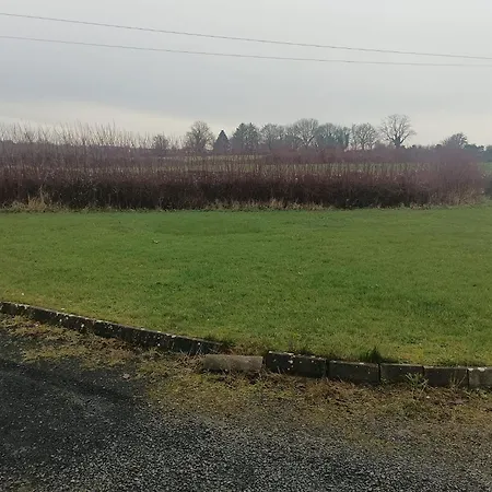 Global Ireland * Williamstown