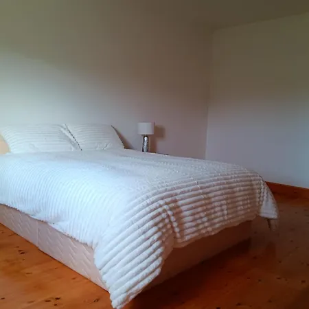 Homestay Global Guest Ireland *