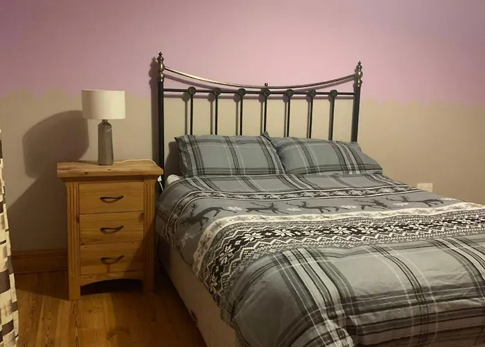 Global Guest Ireland Проживание в семье *