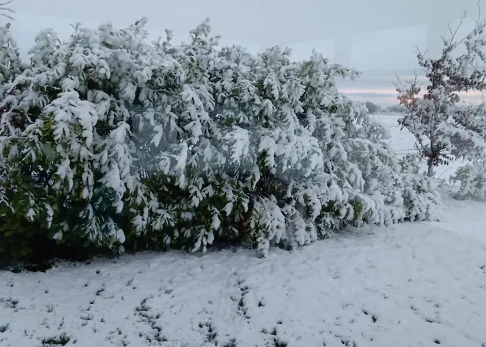 Global Guest Ireland Williamstown