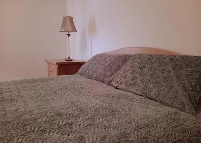 Global Guest Ireland Проживание в семье *